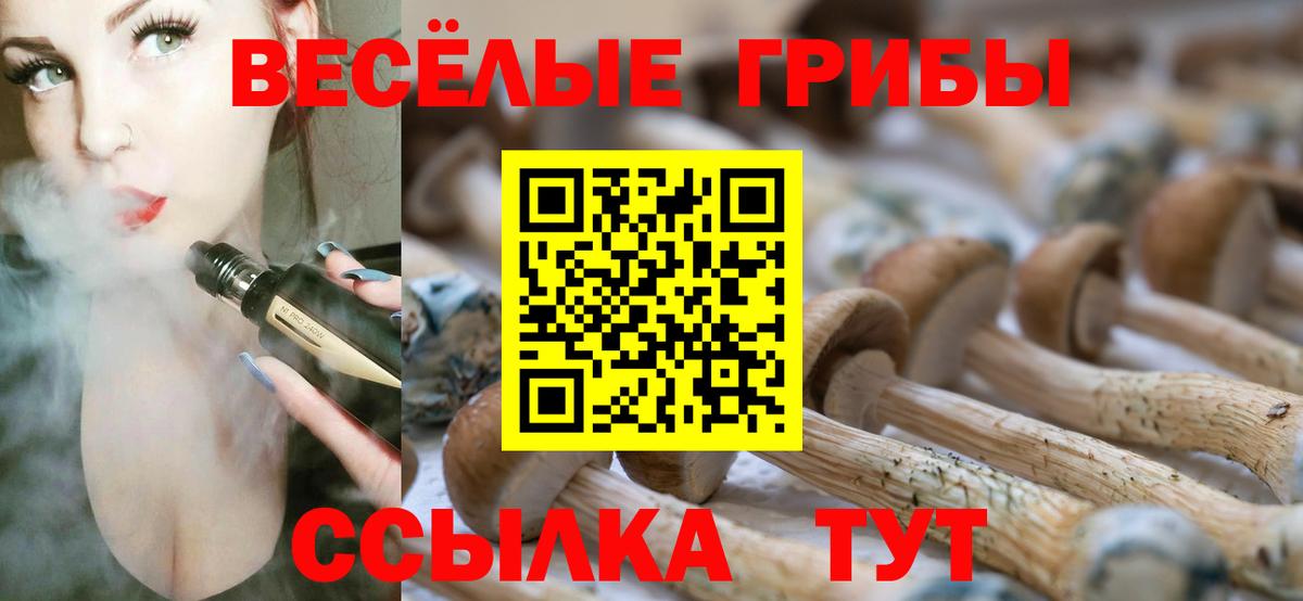 Псилоцибиновые грибы MAGIC MUSHROOMS  Вход с VPN  Псилоцибиновые грибы Magic Shrooms  Симферополь 